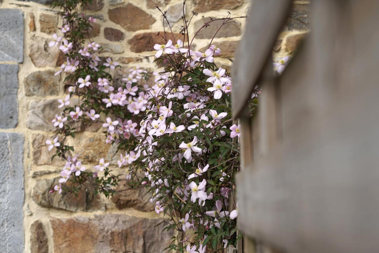 Gite Du Jardin Theux Luaran gambar