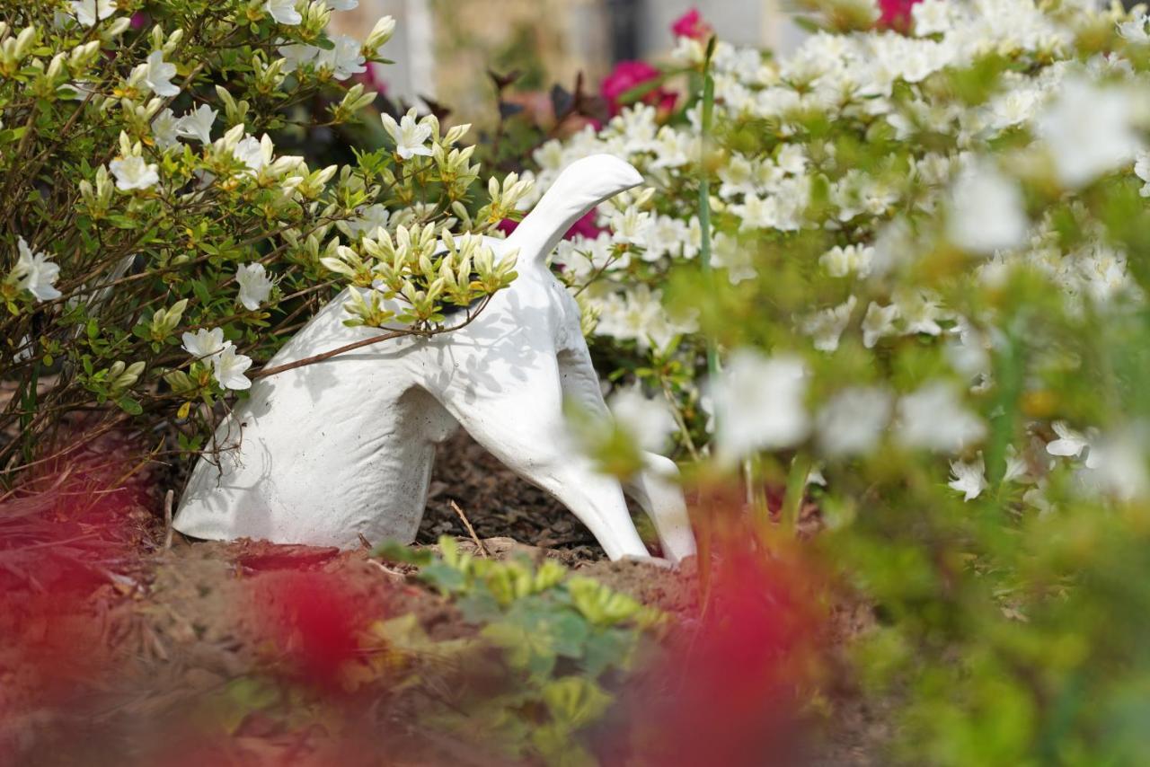 Gite Du Jardin Theux Luaran gambar