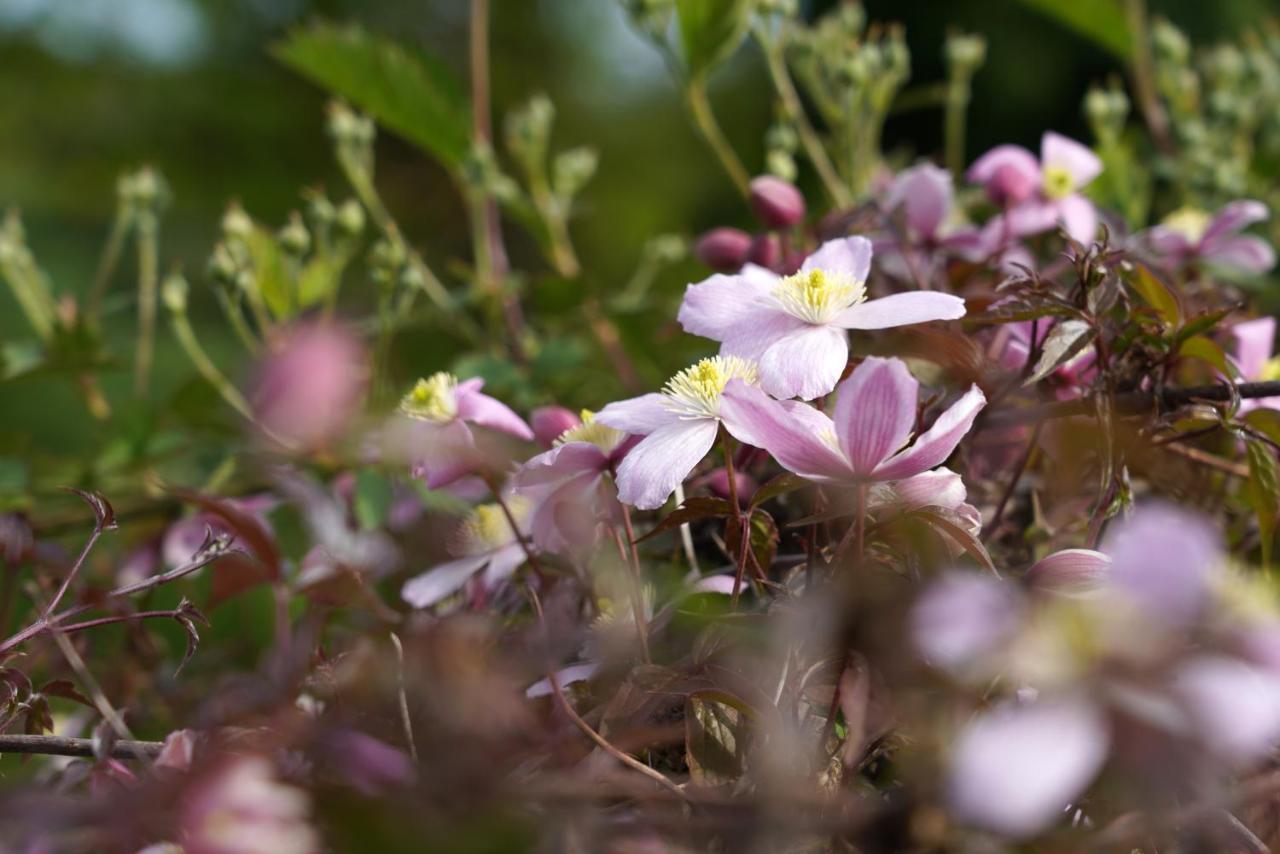 Gite Du Jardin Theux Luaran gambar